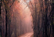 开云体育登录-欧洲杯突围战：北欧海盗旗绝境翻盘，黑海雄狮黯然退场描述：挪威队在生死战上演惊天逆转，哈兰德绝杀点燃希望！保加利亚致命失误葬送前程，出局已成定局。深度剖析战术博弈、球星爆发与命运分水岭。关键词：挪威逆转，保加利亚出局，欧洲杯预选赛，哈兰德绝杀，厄德高助攻，足球战术分析