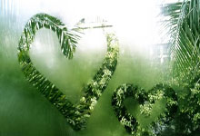 开云体育app-极限保级之争：大连一方迎战长春亚泰，积分关键之战