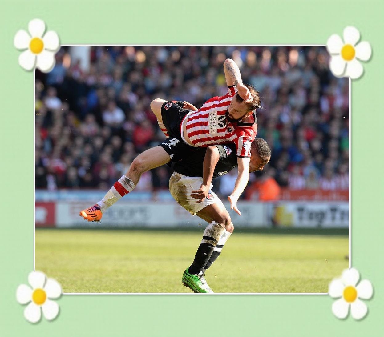 球员表现出色，受到球迷热情追捧的简单介绍