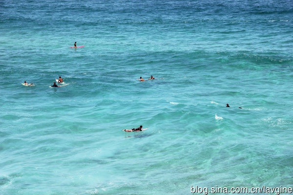 澳大利亚劲旅亮相：悉尼武装到牙齿