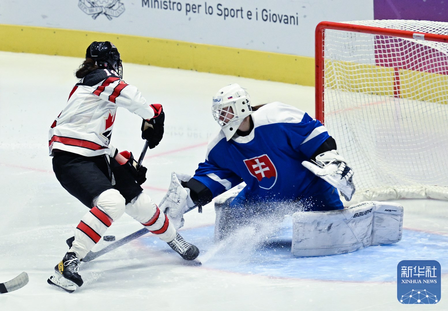 斯洛伐克国家队在比赛中展现实力