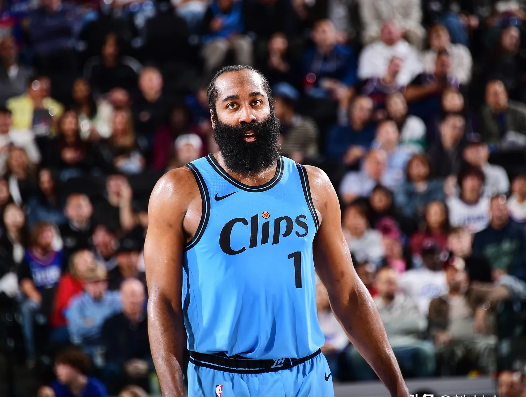 火箭负于山猫，哈登独得全场最高分